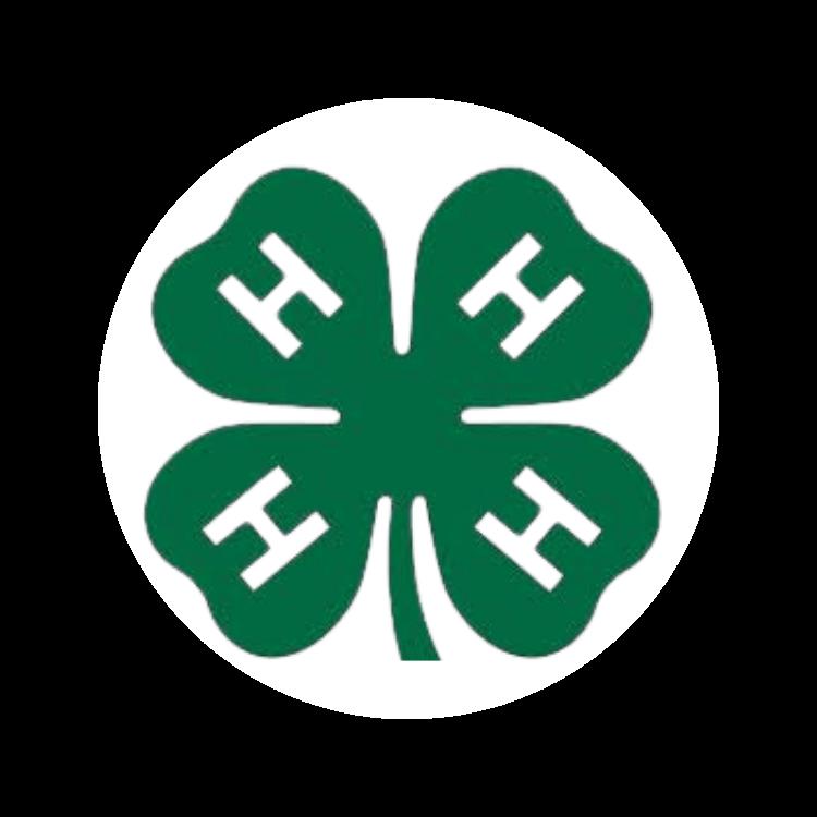 PAWS & PALS 4H Dog Club Apparel